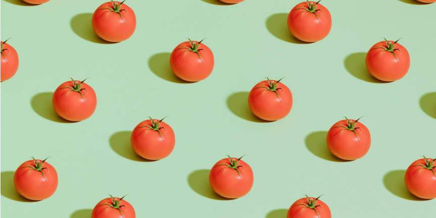 online agri shop buy tomato agri seeds